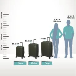 IT Luggage Spontaneous - Cabin (Olive Night) -Travel Storage Shop Spontaneous Set olive Relative Size 5ba18acf edda 4ad3 af90 2d1954a7fed9